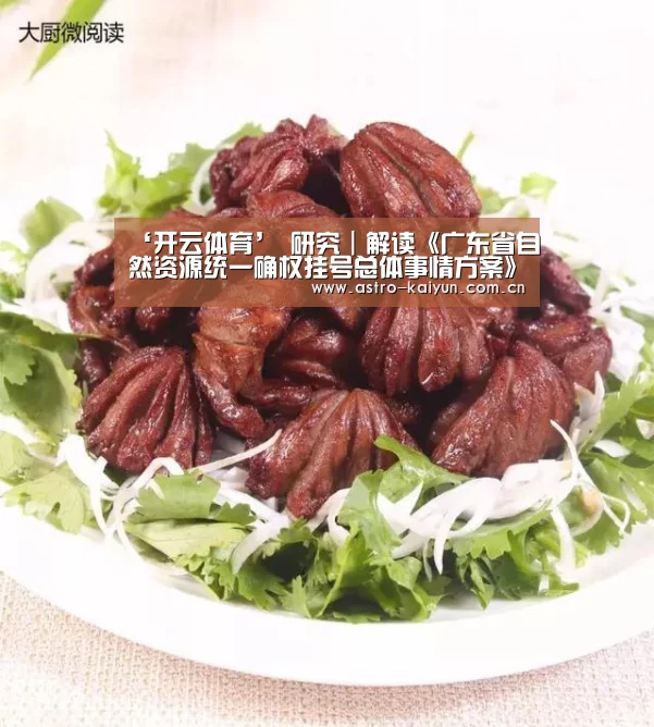 ‘开云体育’
研究|解读《广东省自然资源统一确权挂号总体事情方案》(图2) 开云体育首页
