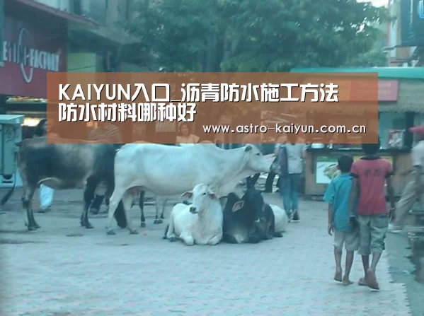 KAIYUN入口_沥青防水施工方法 防水材料哪种好(图1) 开云赛事资讯