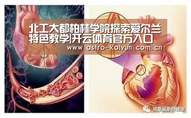 开云赛事资讯