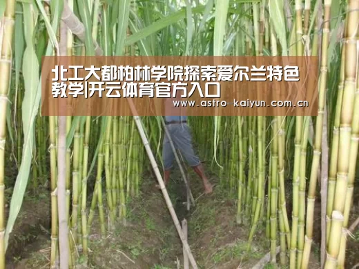 KAIYUN入口