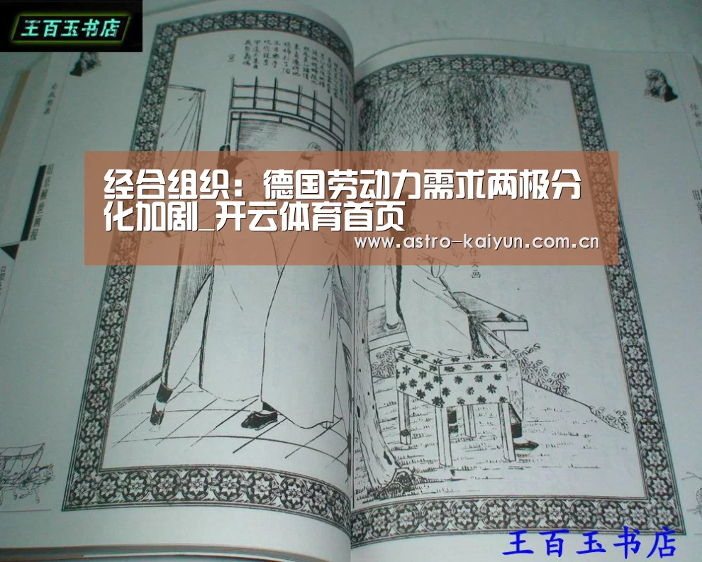 经合组织:德国劳动力需求两极分化加剧_开云体育首页(图2) 开云体育官方入口