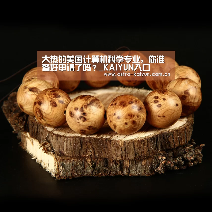 大热的美国计算机科学专业,你准备好申请了吗?_KAIYUN入口(图2) 开云体育首页
