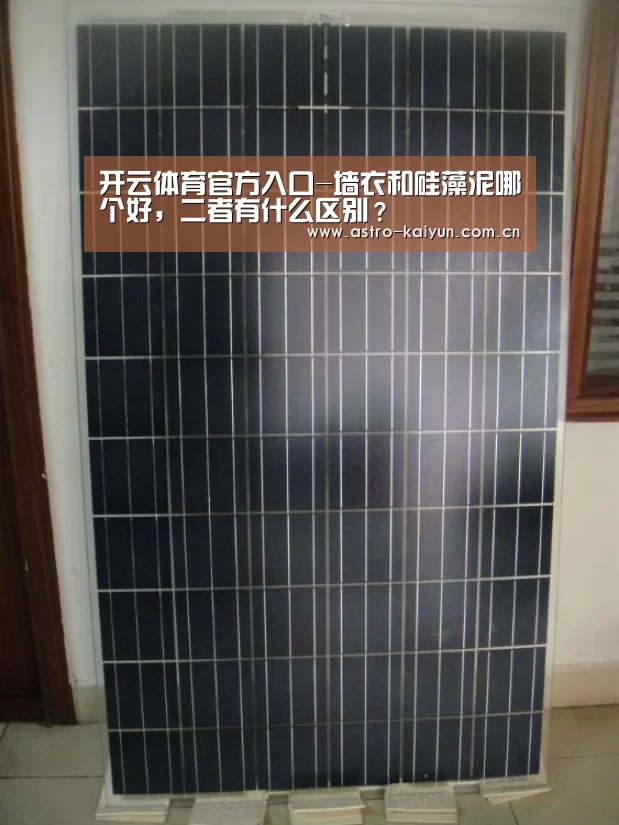 开云体育官方入口-墙衣和硅藻泥哪个好,二者有什么区别?(图3) KAIYUN入口
